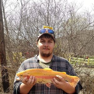 Meet your Posher, Blaze